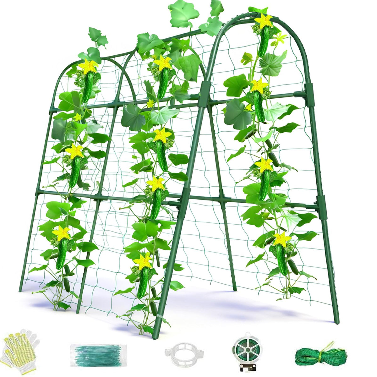 Laodier cucumber trellis arch supports climbing vines in a raised bed.