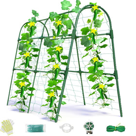 Laodier cucumber trellis arch supports climbing vines in a raised bed.