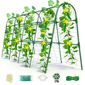 Laodier cucumber trellis U-shape arch increases vertical growth for cucumbers.