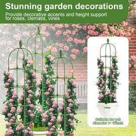 Laodier detachable storage trellis enables compact off-season storage.
