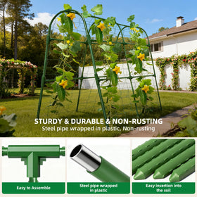 Laodier cross-shaped connectors enable quick, tool-free assembly.