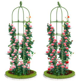 Laodier 70-inch green garden obelisk trellis supports climbing roses.