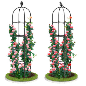 Laodier garden obelisk trellis 70-inch assembly provides sturdy support for climbing plants.