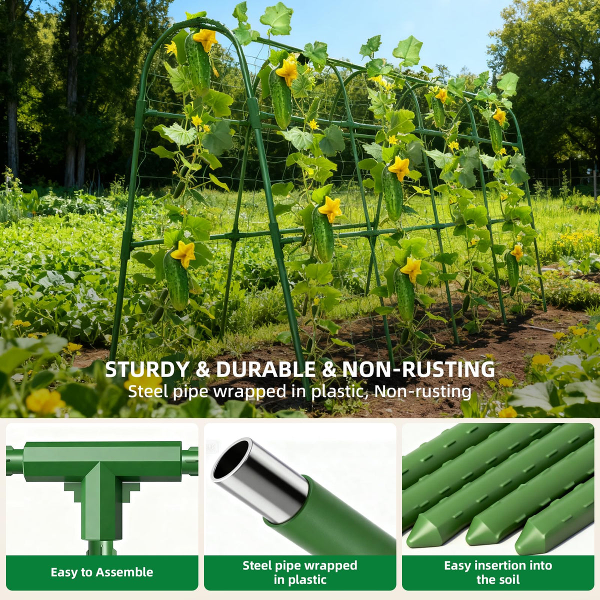 Laodier raised-bed installed trellis supports climbing plants without crowding.