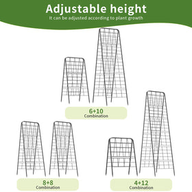 Laodier raised-bed setup shows sturdy metal frame in action