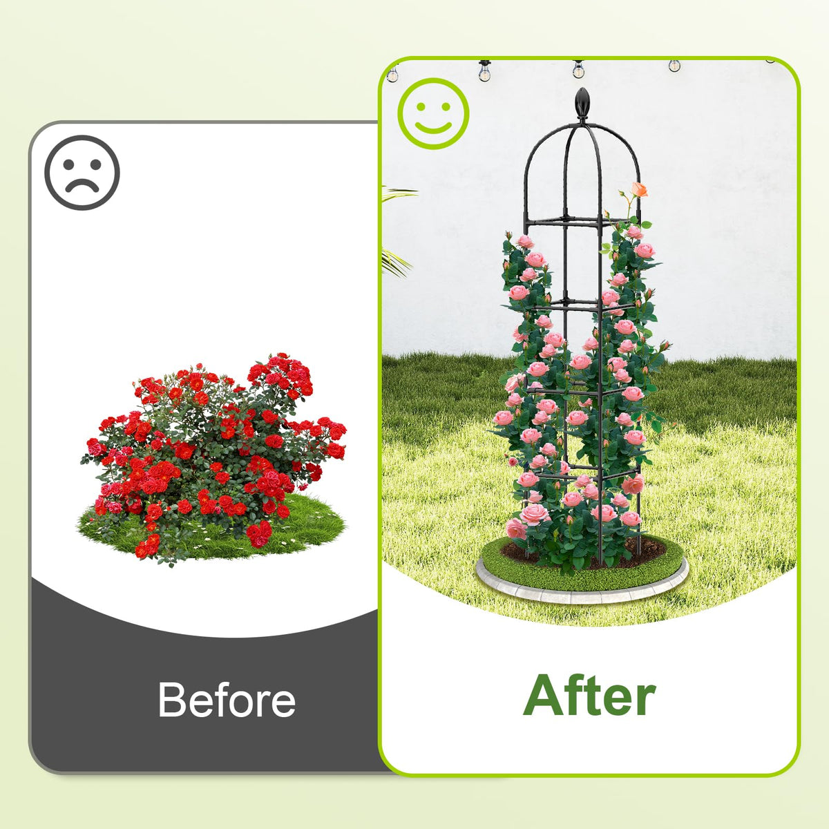 Laodier rose and clematis trellis using square prisms for more growing space.
