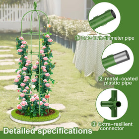 Laodier rose trellis for vertical growth and display.