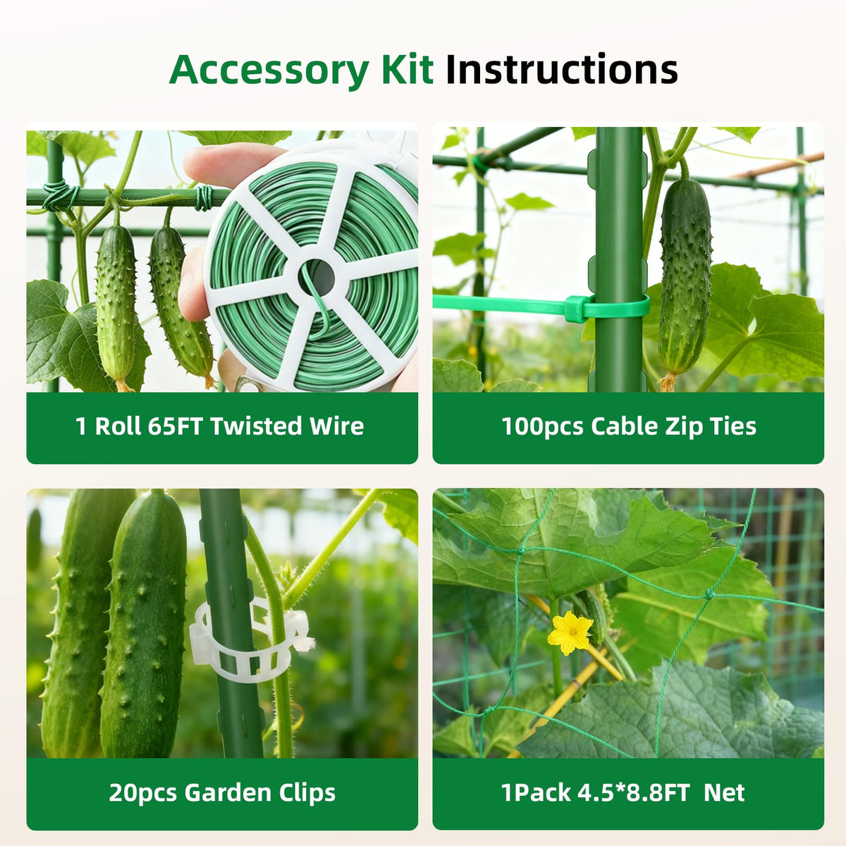 Laodier trellis netting and leaf ties included for quick training.