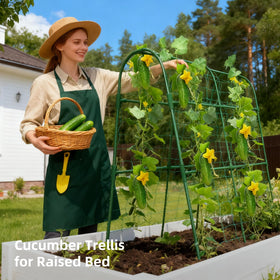 Laodier trellis includes garden clips and leaf ties for easy attachment.