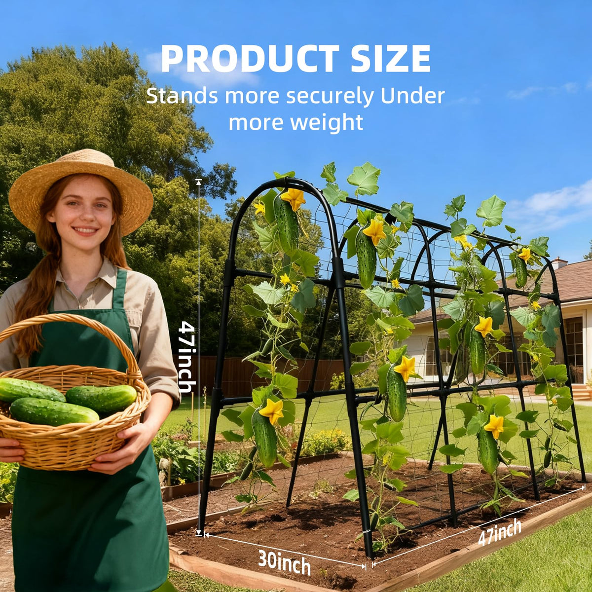 Laodier U-shape stability trellis provides sturdy support for rows