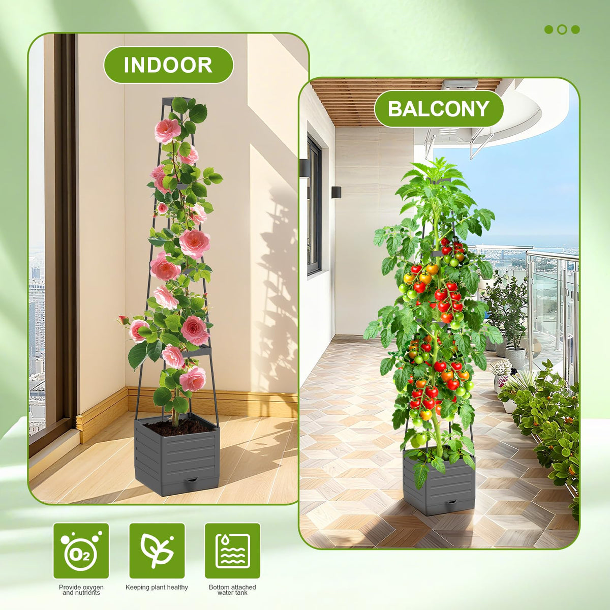 Laodier supports tomatoes, strawberries, and climbing plants