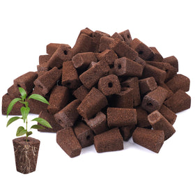 LAPOND 100-pack grow sponges for efficient hydroponic seed starting and propagation.