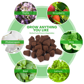 LAPOND 50 plugs per bag for convenient batch propagation.