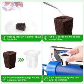 LAPOND easy-to-use sponges after soaking are beginner-friendly.