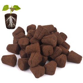 LAPOND grow sponges seed plug for easy propagation and faster rooting.