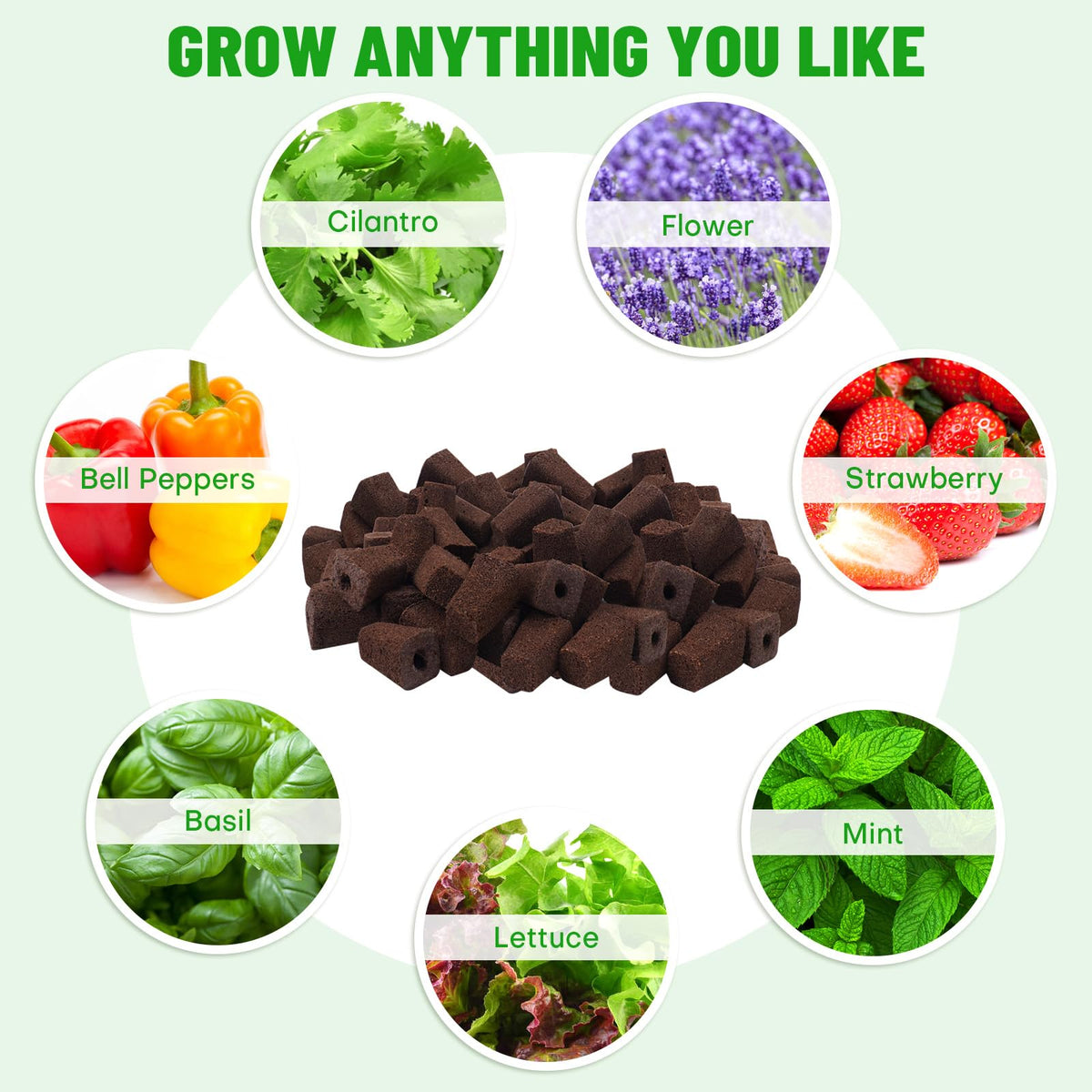 LAPOND high-quality peat plugs provide strong water-wicking for healthy germination.
