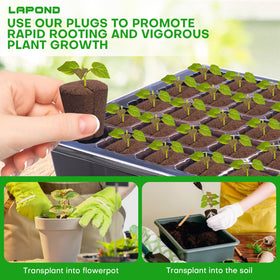 LAPOND rooting-boost plug supports strong root development for young plants.
