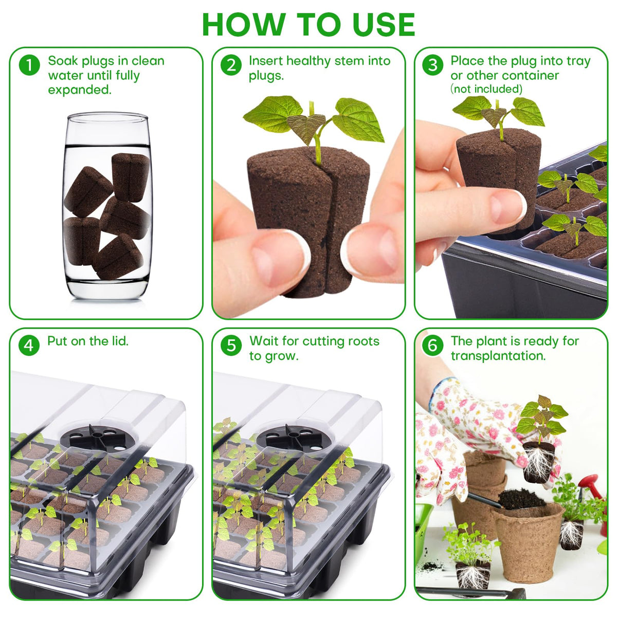 LAPOND roses and succulents propagation plug demonstrated for versatile use.