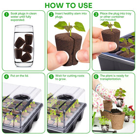 LAPOND roses and succulents propagation plug demonstrated for versatile use.