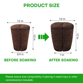 LAPOND seed-starter plug ideal for cuttings and healthy initial growth.