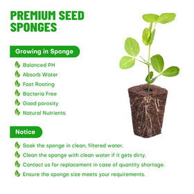 LAPOND seed starter plugs in hydroponics enable uniform water and oxygen distribution.