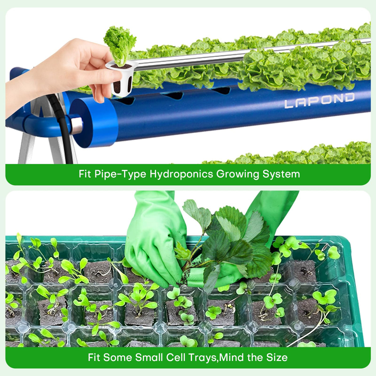 LAPOND 100-pack minimizes refill needs for multiple plant starts.