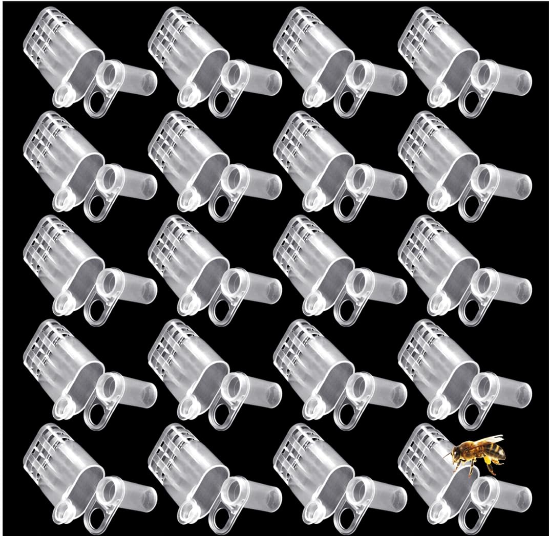 LAPXSNZD white queen bee cages pack front view for easy queen rearing