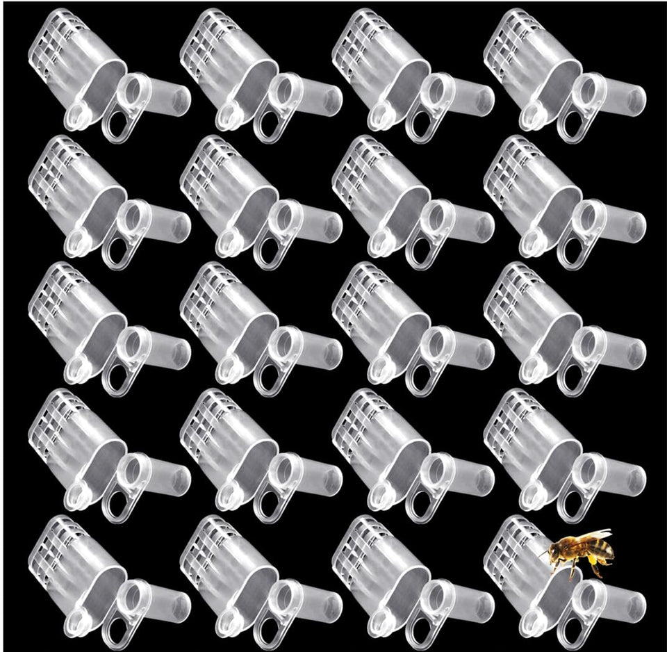LAPXSNZD white queen bee cages pack front view for easy queen rearing