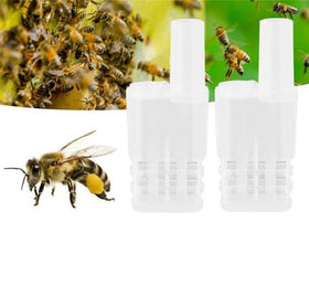 LAPXSNZD white queen bee cages pack side view showing compact design
