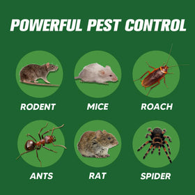 LAQDECDV packaging shows easy placement and long-lasting protection.