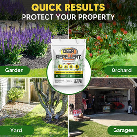 LAQDECDV plant-based-safety formula is gentle around pets.