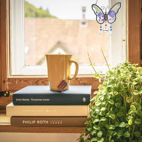 Laraine window display enhances a cozy living space.