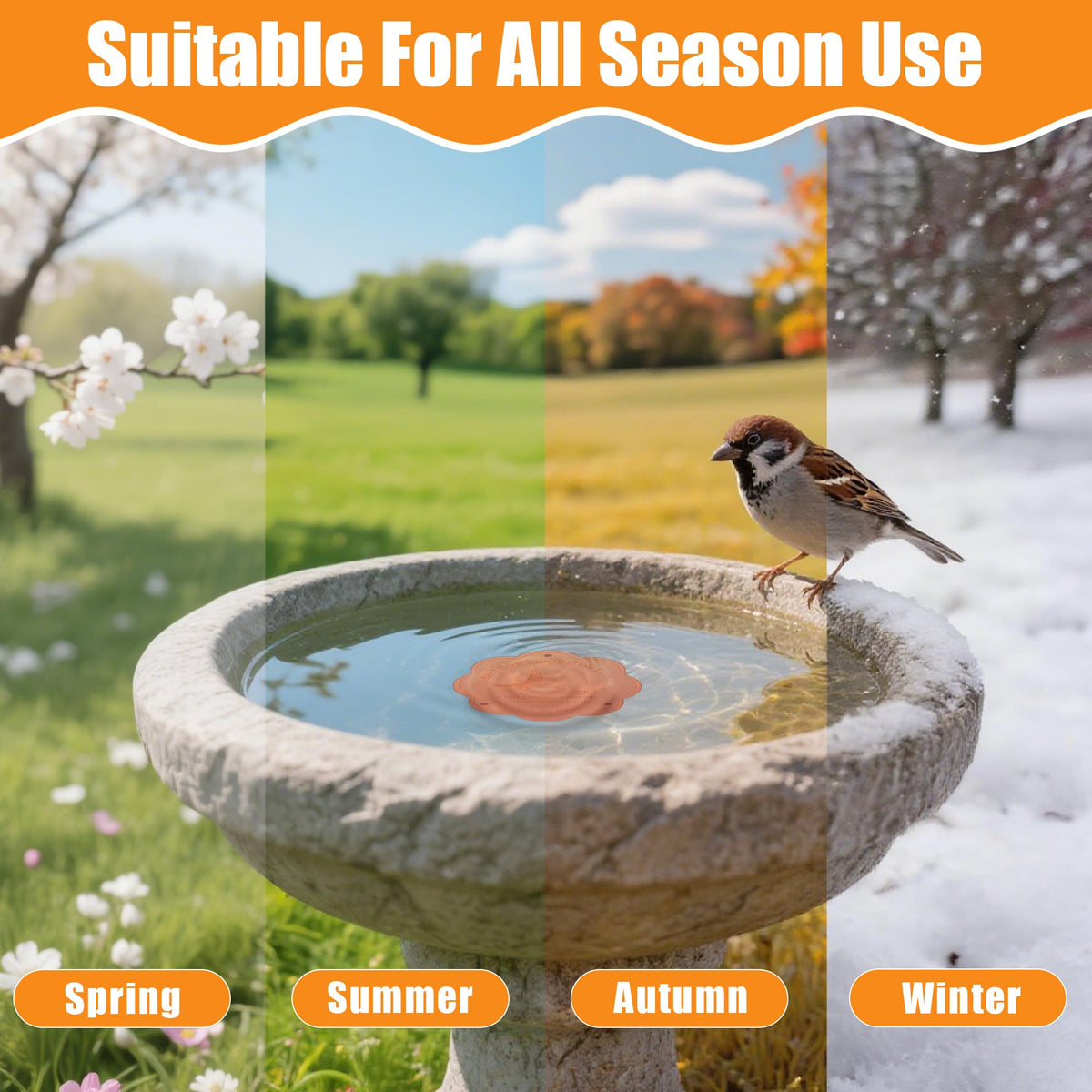 Larbeti bird-friendly copper disk promotes a healthier bird bath environment.