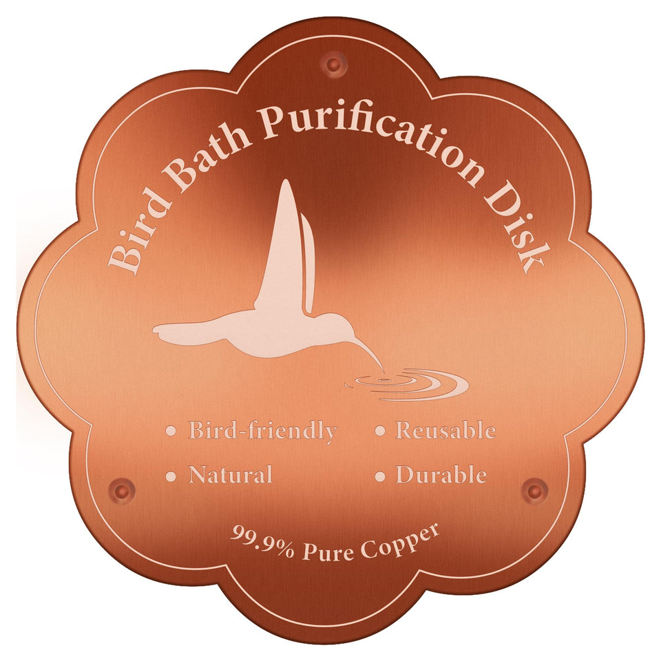 Larbeti copper bird bath disk (4 inch) helps keep outdoor water clean with passive cleansing.