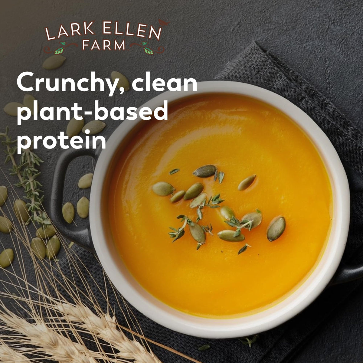 Lark Ellen Farm sprouted pumpkin seeds closeup showing crisp texture and color.