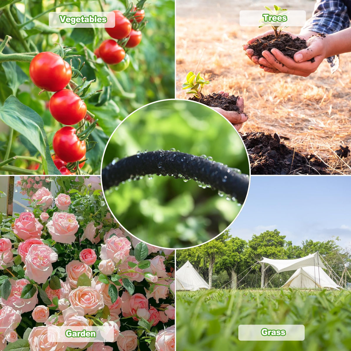 LARNORJE irrigation system for vegetables and shrubs delivers precise moisture