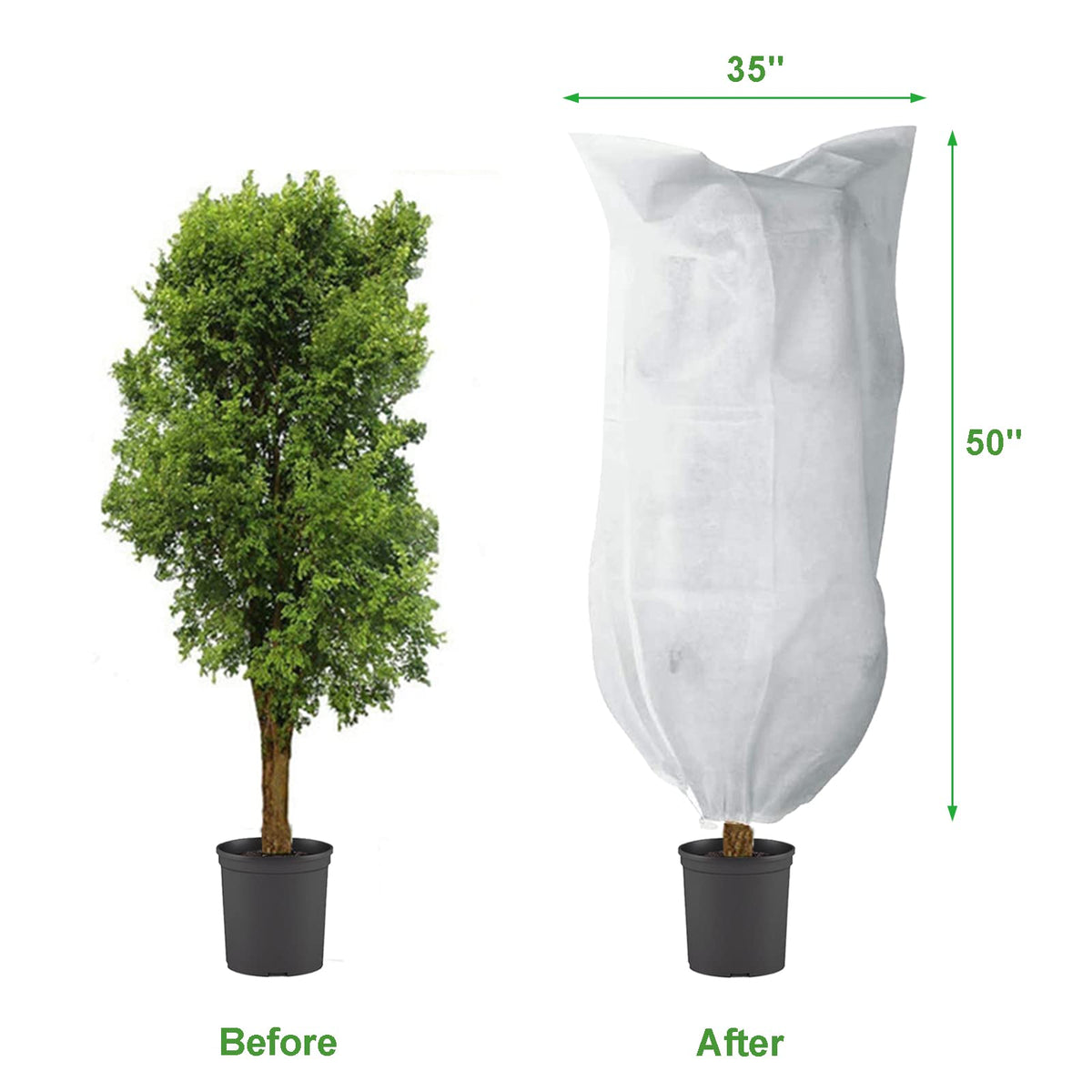 LARNORJE frost protection bag on a shrub shields from cold winds