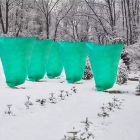 LARNORJE frost protection for shrubs and young trees in gardens.