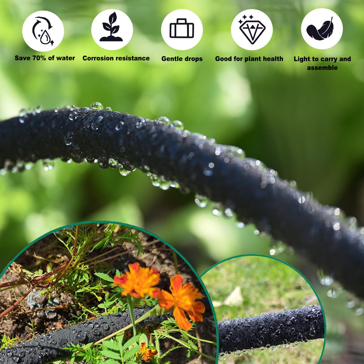 LARNORJE 75ft hose runs beside raised beds for deep watering