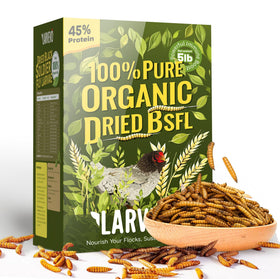 Larvevo 5lb dried BSF larvae for chickens support protein needs and steady egg production.