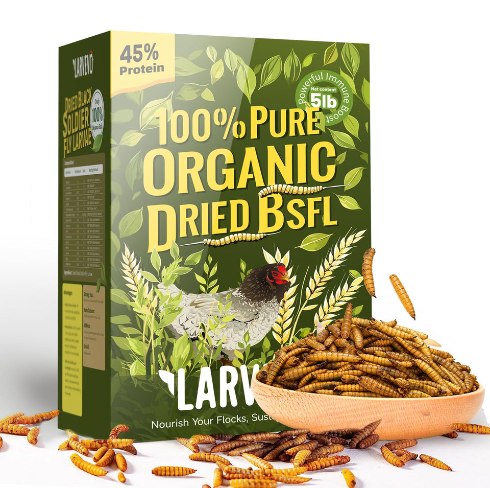 Larvevo 5lb dried BSF larvae for chickens support protein needs and steady egg production.