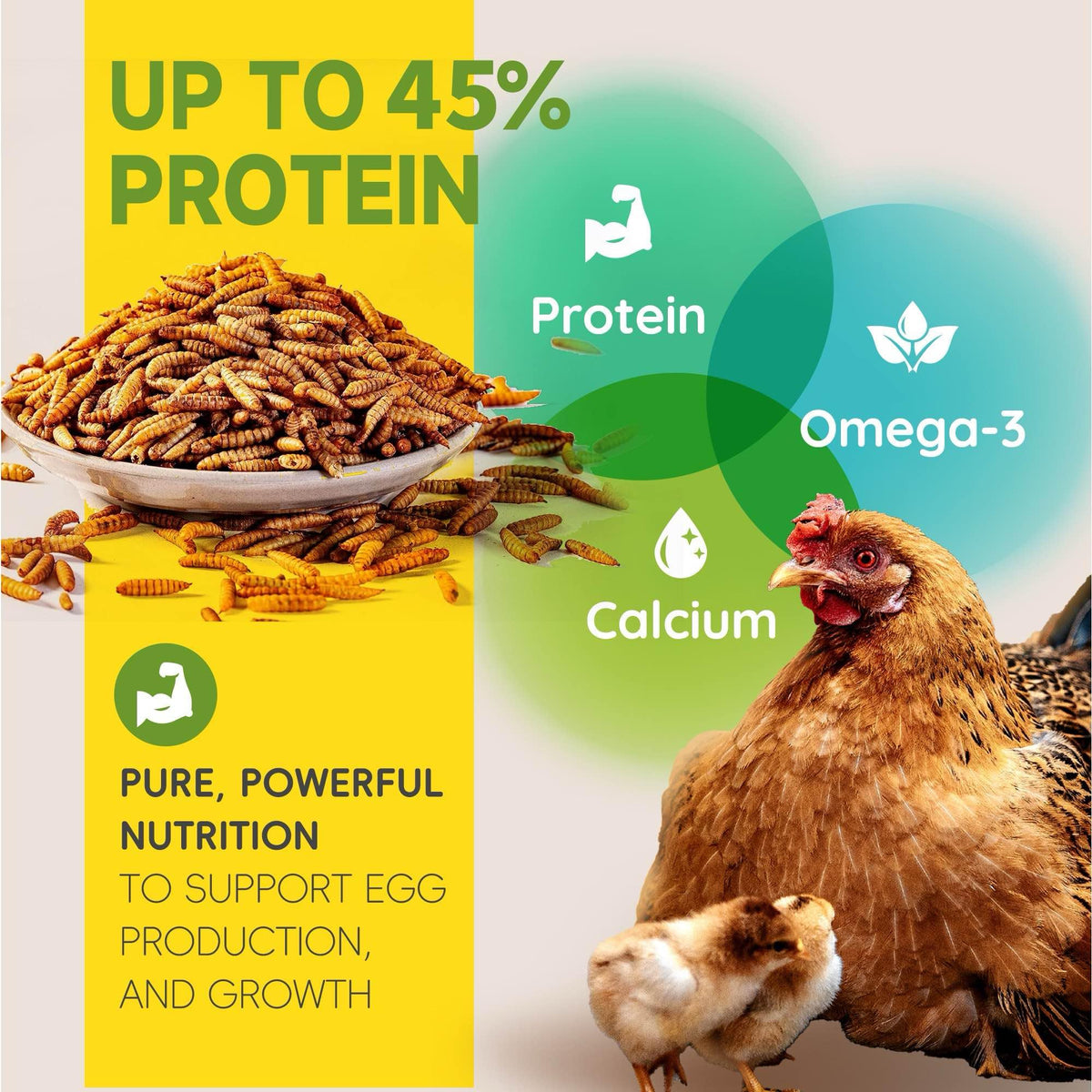 Larvevo BSF larvae calcium-rich content for eggshells