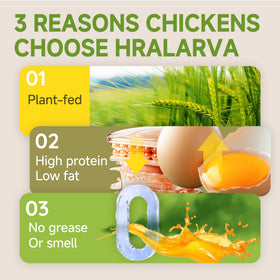 Larvevo nutrient-rich whole larvae close-up showing balanced nutrition