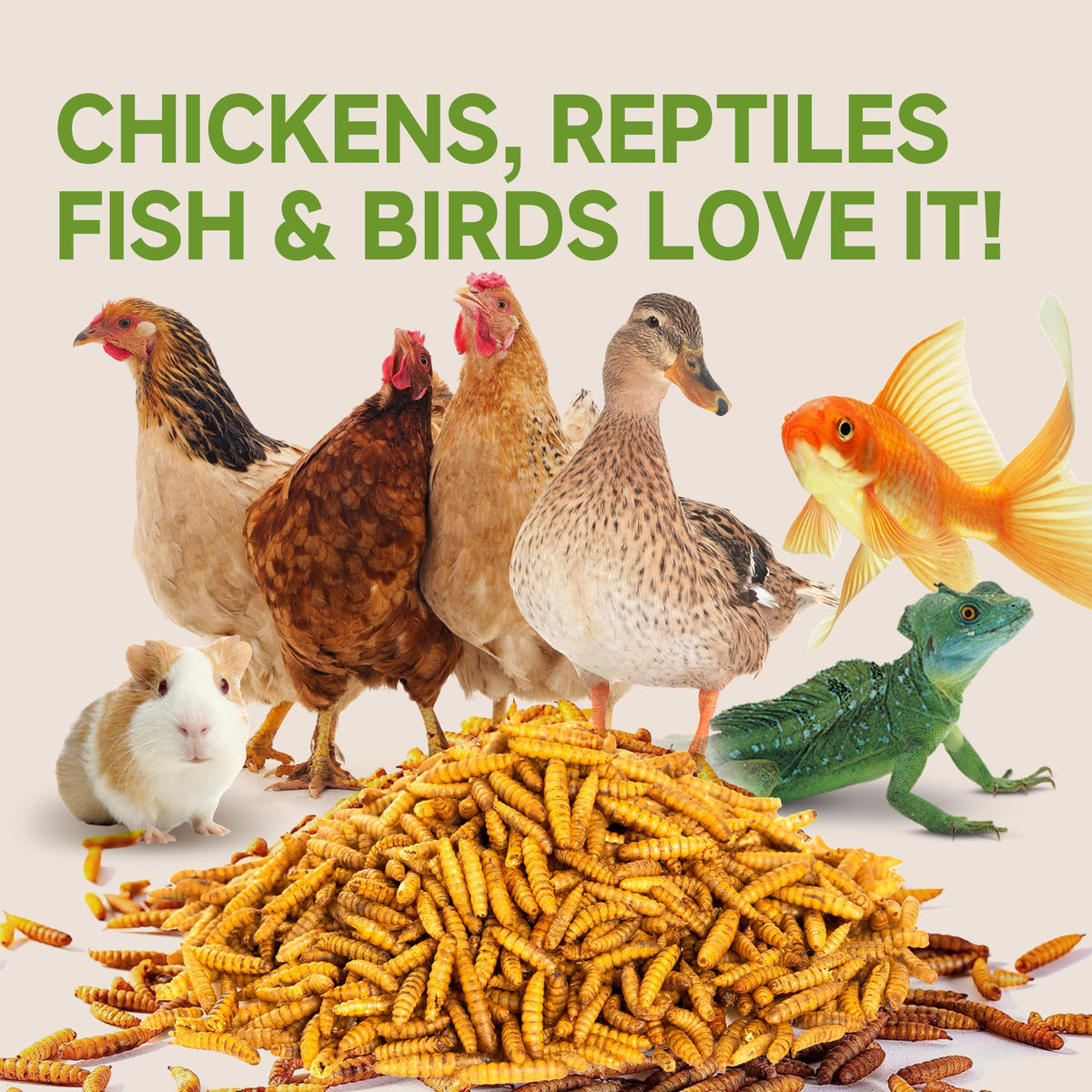 Larvevo packaging highlighting non-GMO and calcium content