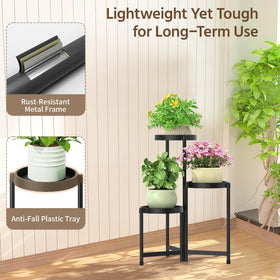 LASZOLA tiered layout improves visibility and plant accessibility.