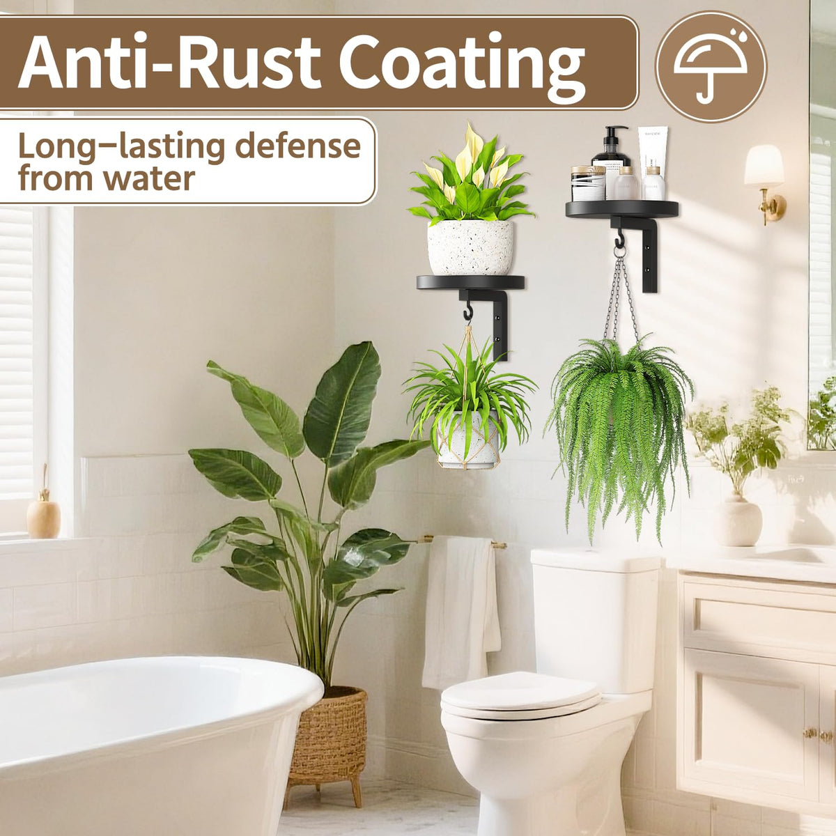 LASZOLA near-window placement enhances light exposure for healthier plant growth