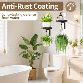 LASZOLA near-window placement enhances light exposure for healthier plant growth