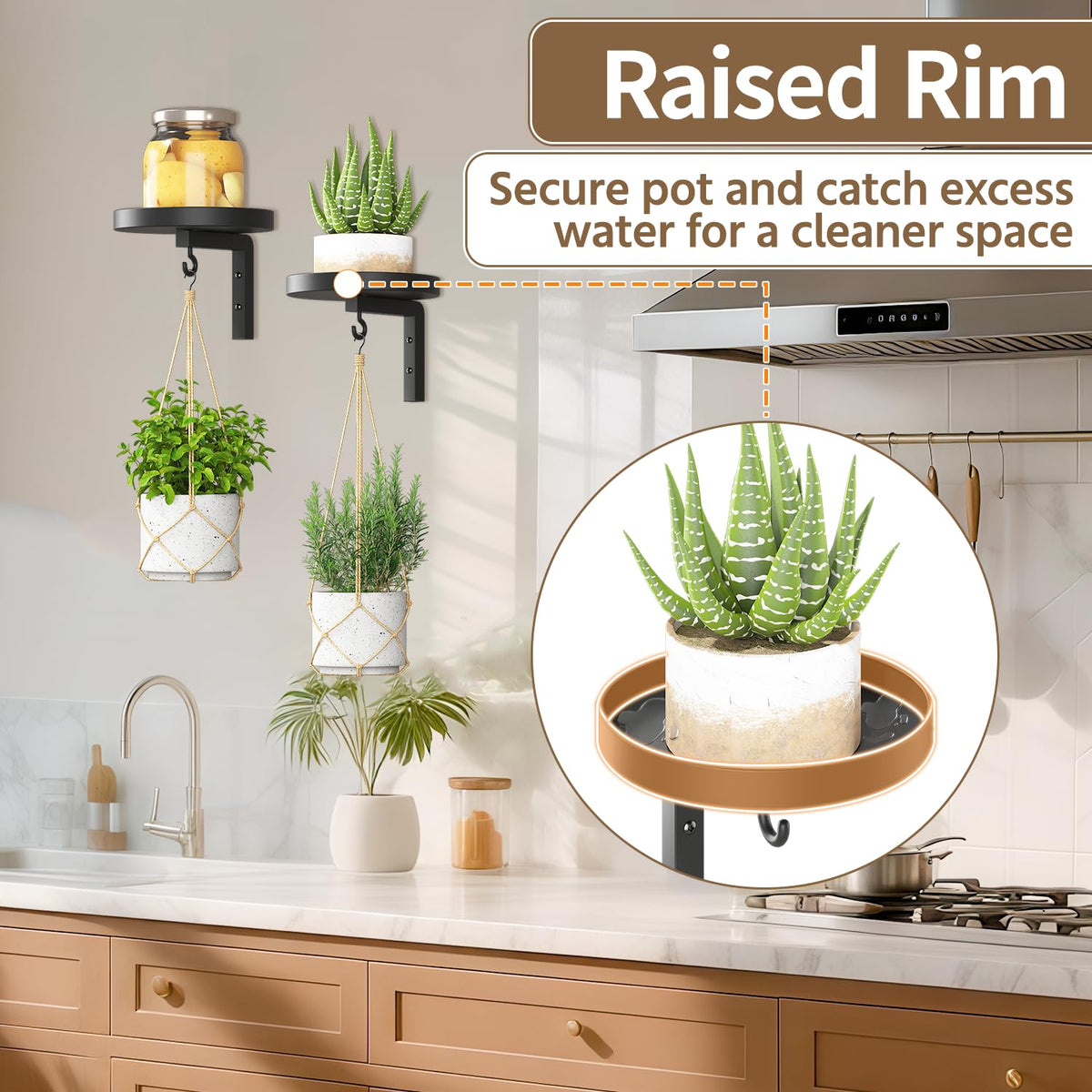 LASZOLA pet-proof elevation raises plants away from paws for safer display