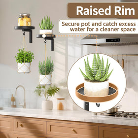 LASZOLA pet-proof elevation raises plants away from paws for safer display