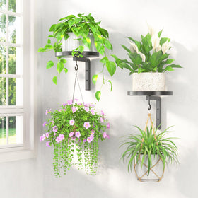 LASZOLA two-pack wall mount plant hangers in black for space-saving greenery